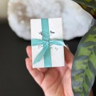 Vel Unt’s Secret Scoop - Havets Hemmelighet fra en glemt lagune thumbnail