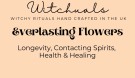 Witchuals: Everlasting Flowers/Evighetsblomst thumbnail