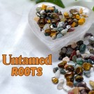*LIMITED* Untamed Roots - Krystallchips 50g thumbnail
