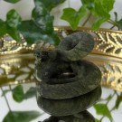 Vakker Serpentin Slange  thumbnail