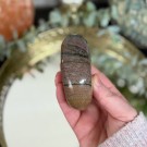 Sjø Jaspis Ammonitt Utskjæring thumbnail