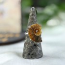 Ammonitt Justerbar Ring #2 thumbnail