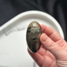 Golden Healer & Pyritt Shiva #1 thumbnail