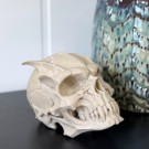 Vel Unt’s Gargoyle Skull - Fantasy Hodeskalle (KUN 1) thumbnail