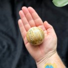 Gul Crazy Lace Agat Kule thumbnail