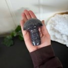 Stor Nydelig Lepidolitt Sopp thumbnail