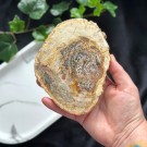 Forsteinet Tre Skive #1 thumbnail