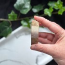 Liten Rød Forsteinet Tre Skive #4 thumbnail