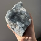 Celestin Gruppe 2,1KG thumbnail