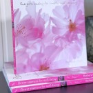 Flower Essences For Well-Being - Blomsteressenser for balanse, ro og harmoni thumbnail