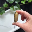 Golden Healer & Pyritt Håndstein #6 thumbnail