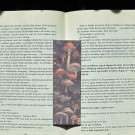 Vel Unt's Farget Bokmerke - Mushroom Forest #3 thumbnail