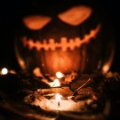 Campsie Wax Melts - Pumpkin Spice thumbnail