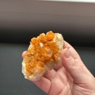 Mandarinkvarts Gruppe [Tangerine] #8 thumbnail