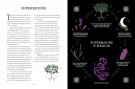 The Witch of the Forest’s Guide To Astrology Magick thumbnail