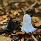 Spøkelse med hatt thumbnail