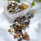 *LIMITED* Untamed Roots - Krystallchips 50g thumbnail