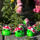 Frosk med fluesopp hatt thumbnail