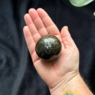 Svart Mica Kule thumbnail