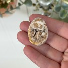 Krystallisert Skjell Cabochon - 20g thumbnail