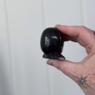 Regnbue Fluoritt Snegle thumbnail