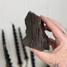 Sjelden Krystallisert Forsteinet Tre fra Zwenkau, Tyskland #11 thumbnail