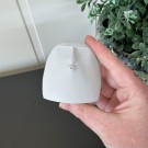 Ooo Rocks! (3pk) thumbnail