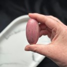 Unik Rosa Forsteinet Tre Shiva #5  thumbnail