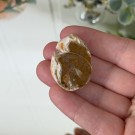 Krystallisert Skjell Cabochon - 20g thumbnail