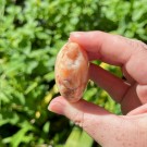 Tre Agat, Heulanditt & Skolesitt Hjerte #7 thumbnail