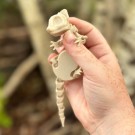 Skelly Rat 18cm thumbnail