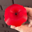 The Forbidden Apple - Rød  thumbnail