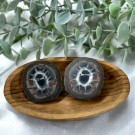 Septarian Nodules Par #3 thumbnail