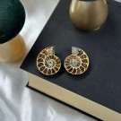 Ammonitt Par #2 thumbnail