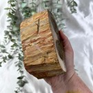 Forsteinet Tre Telysholder [2 lys] thumbnail