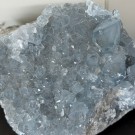 Celestin Gruppe 2,1KG thumbnail