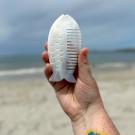 Mother Of Pearl - Skjell Pyntekam #1 thumbnail