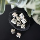 Pakistansk Dalmatiner Jaspis Tromlet thumbnail