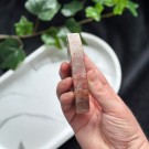 Rød Forsteinet Tre Skive #2 thumbnail