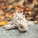 Hollow Skeleton Turtle thumbnail