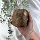 Forsteinet Tre Telysholder Lav  thumbnail