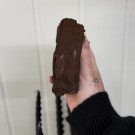 Sjelden Krystallisert Forsteinet Tre fra Zwenkau, Tyskland #19 thumbnail