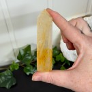 Golden Healer Tårn #3 thumbnail