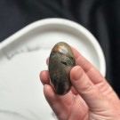 Golden Healer & Pyritt Shiva #1 thumbnail