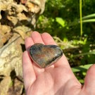 Golden Healer & Pyritt Hjerte #8 thumbnail