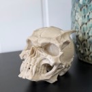 Vel Unt’s Gargoyle Skull - Fantasy Hodeskalle (KUN 1) thumbnail