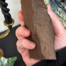 Krystallisert Forsteinet Tre fra Zwenkau, Tyskland #4 thumbnail