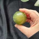 Grønn & Gul Fluoritt Kule thumbnail