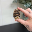 Brun Aragonitt Håndstein #2 thumbnail