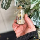 Slangens Fornyelse - Ekte Slangeskinn (Ham) thumbnail